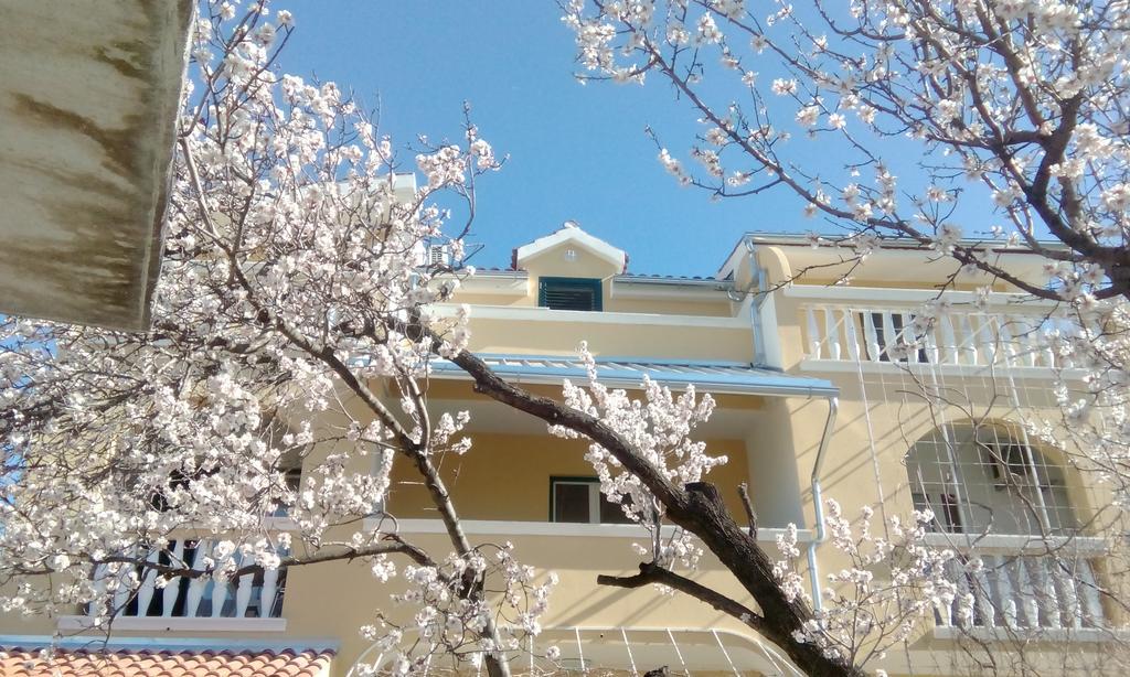 Apartments Meri Vodice Eksteriør billede