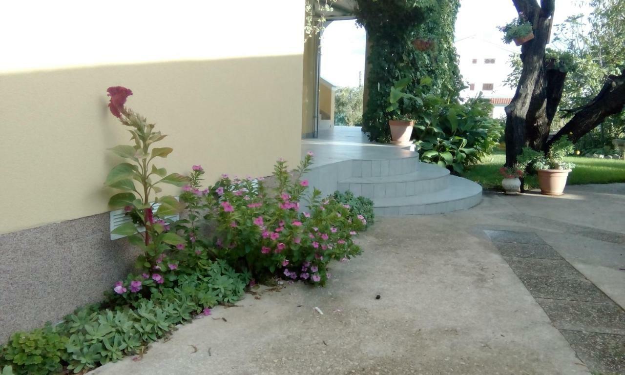 Apartments Meri Vodice Eksteriør billede